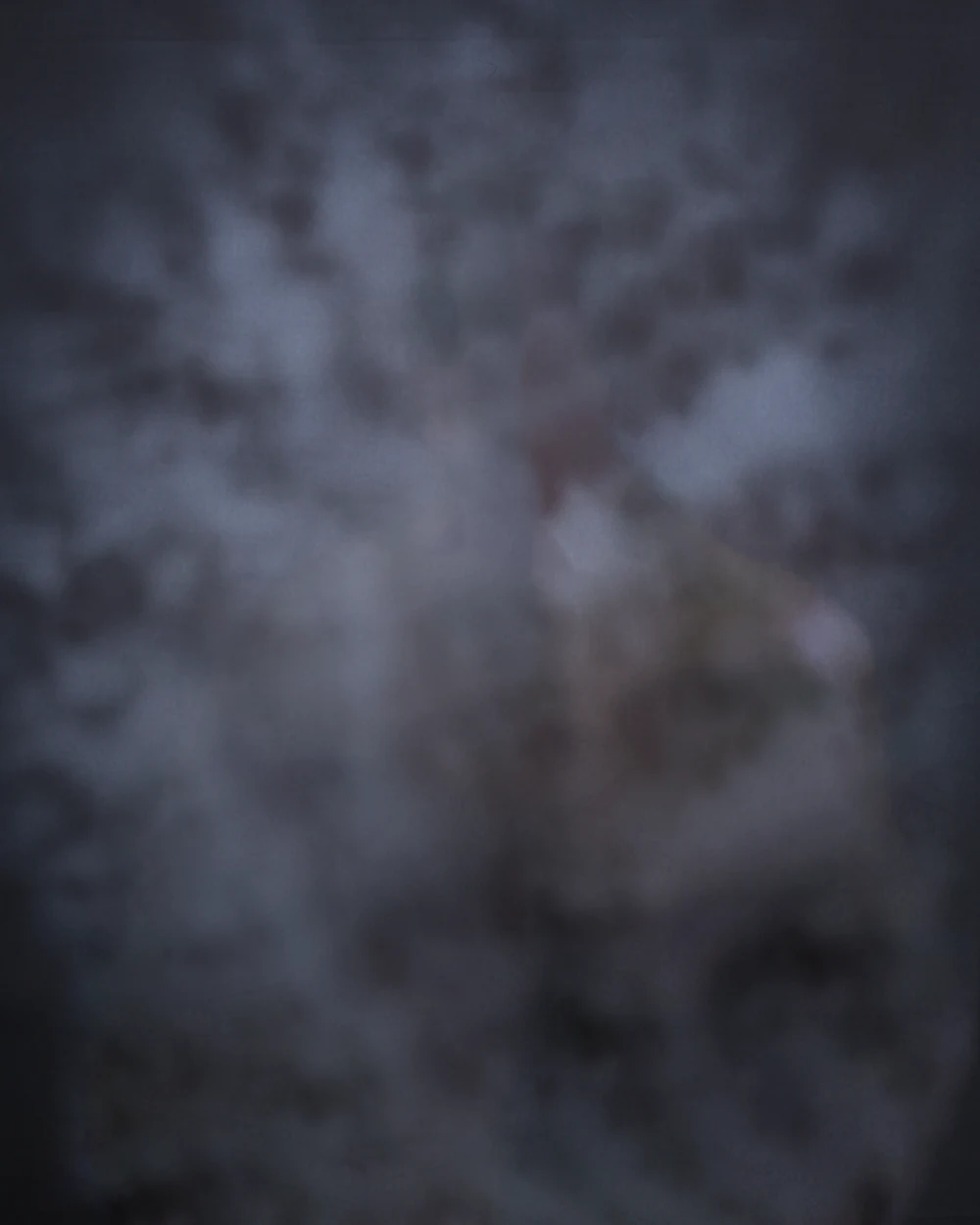 Profile Background